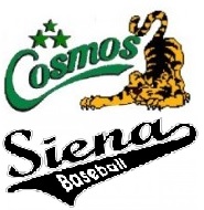 Cosmos Siena logo